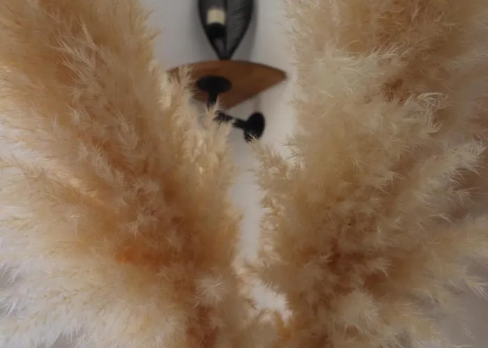 Spacieux Vue Et Montagne En Dernier Etage Avec Terrasse - Parking Et Wifi Apartment Ajaccio (Corsica)