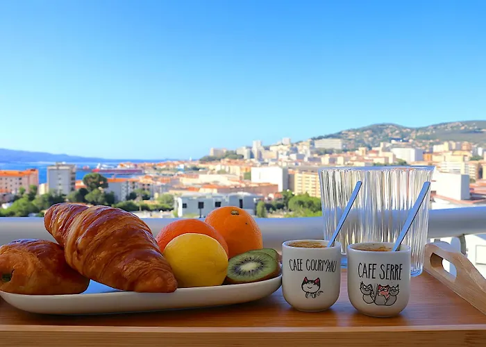 Spacieux Vue Et Montagne En Dernier Etage Avec Terrasse - Parking Et Wifi Apartment Ajaccio (Corsica)