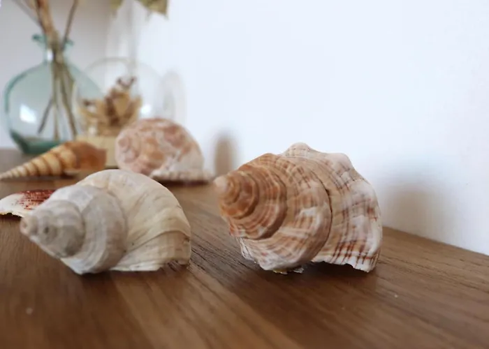 公寓 Spacieux Vue Et Montagne En Dernier Etage Avec Terrasse - Parking Et Wifi *